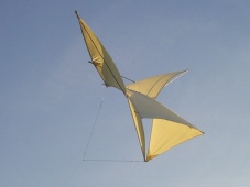 Holland Jr. in his patent:
"Wings hingedly connected to the body member, means connected to the wings to maintain the wings in relatively tilted position."